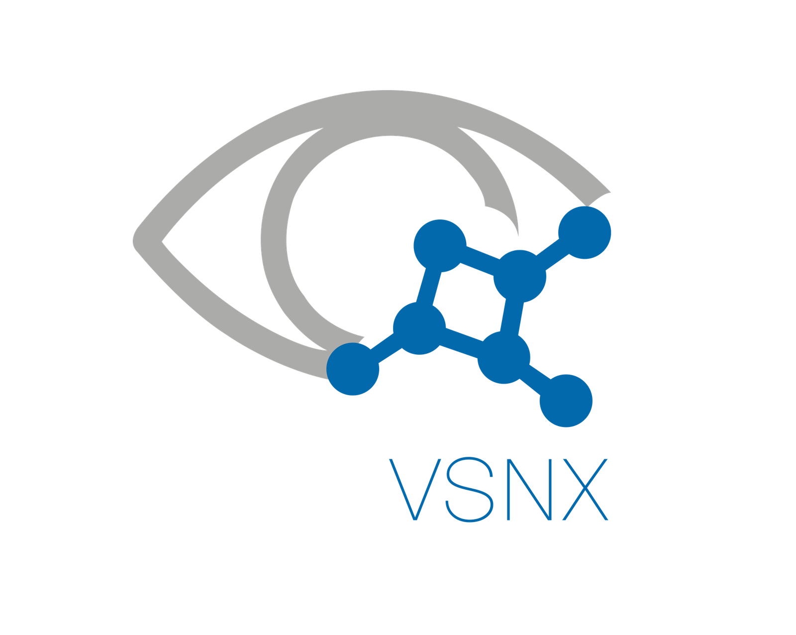 Visionomics Logo